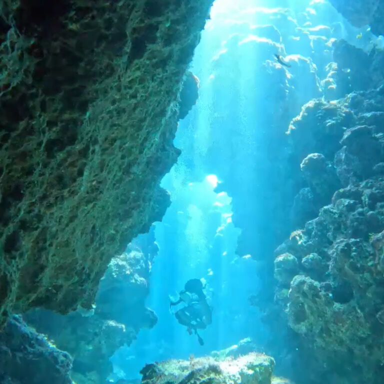 Sea Serenity Diving Center