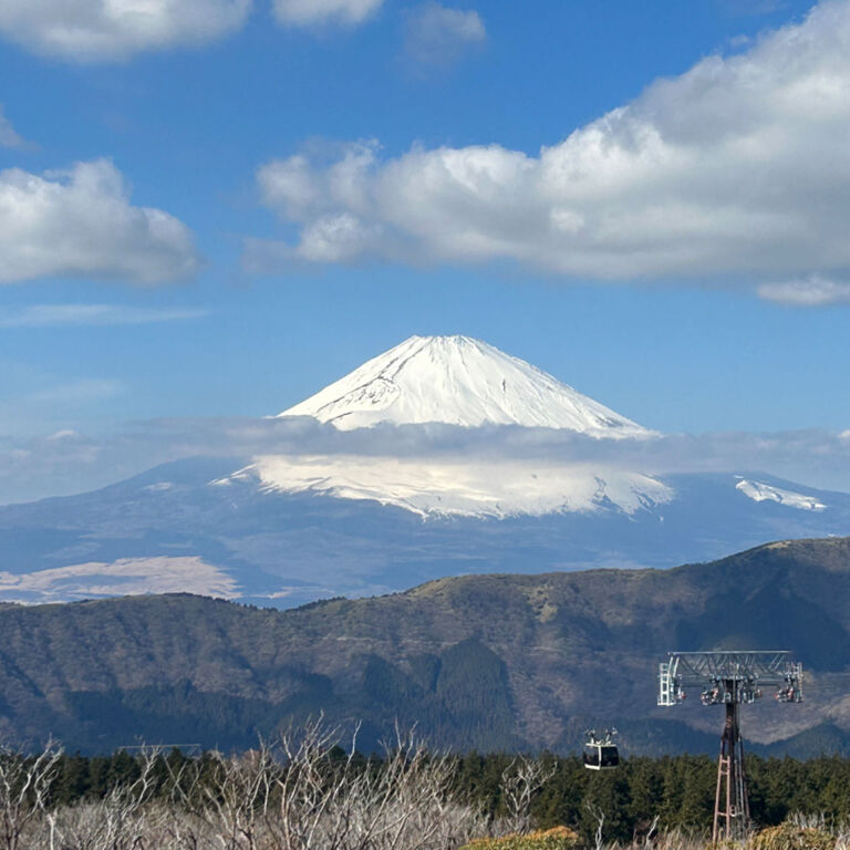 Holiday in Japan