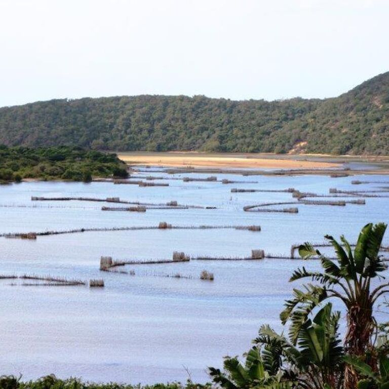 Bushbaby Safaris Zululand (PTY) LTD