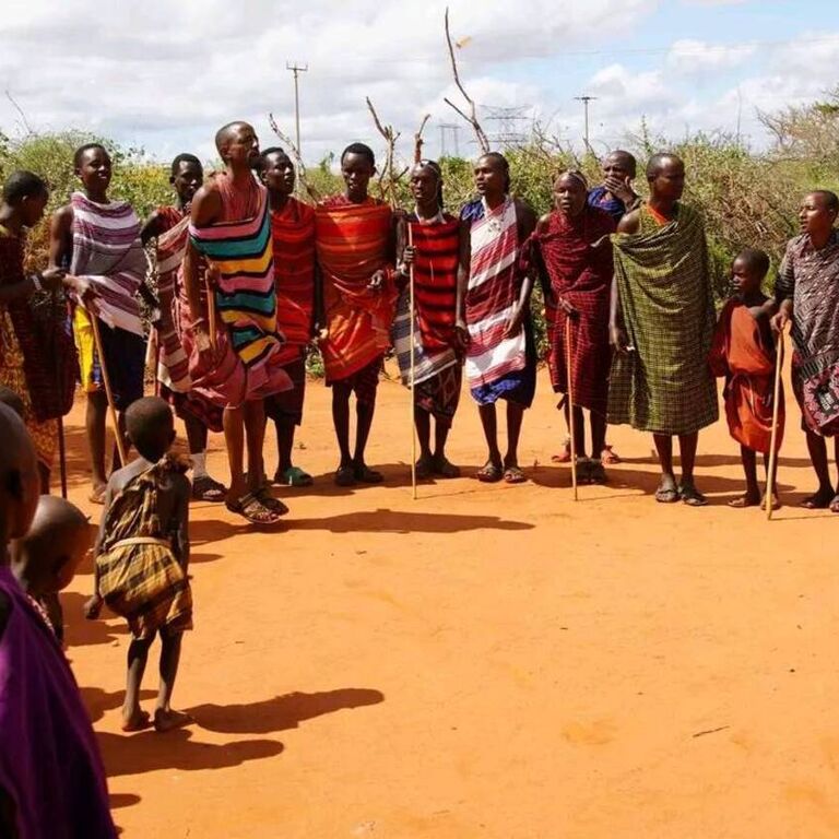 Hakuna Matata Safaris
