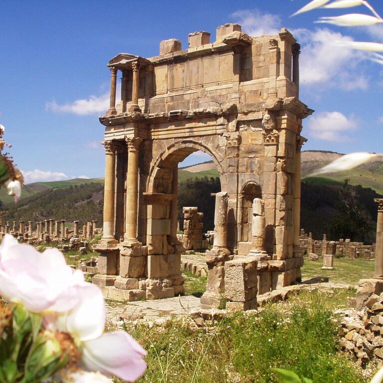 Algeria DMC