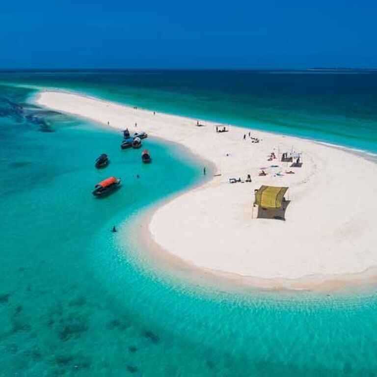 Prison Island + sand bank picnic