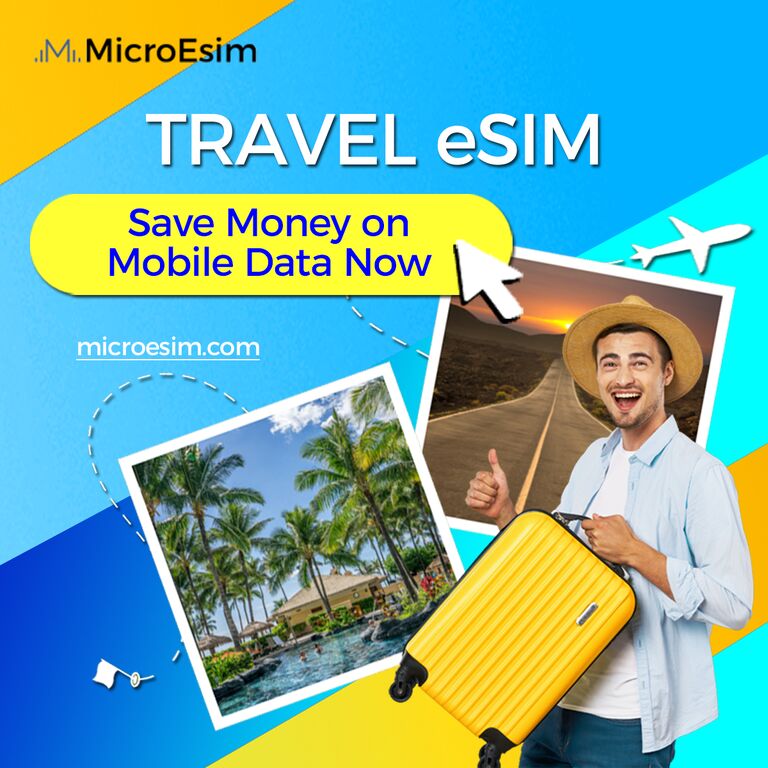 MicroEsim