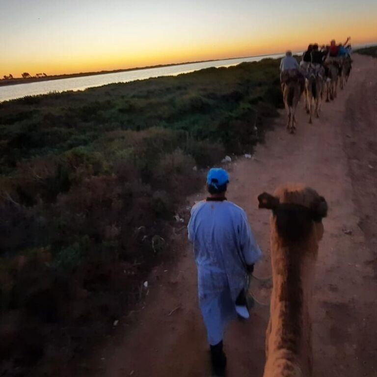 Sunset Camel Ride with BBQ and Couscouss Dinner