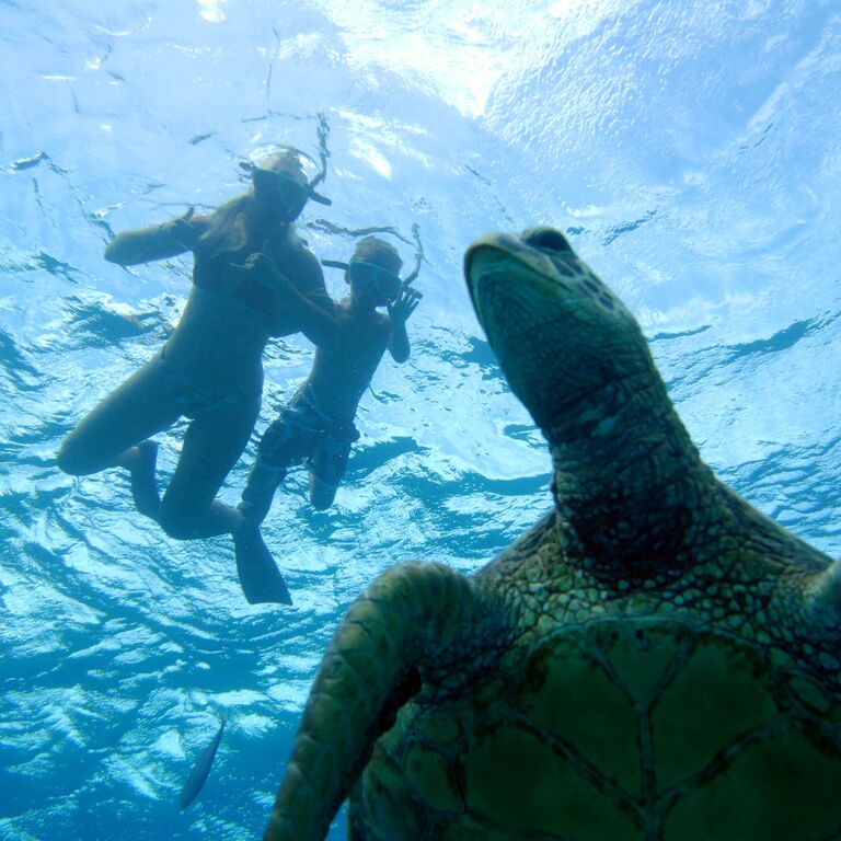 Ko Olina Ocean Adventures, Inc.