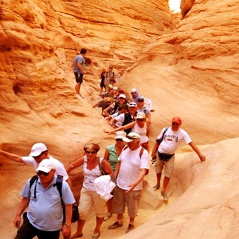 Stepway Tours