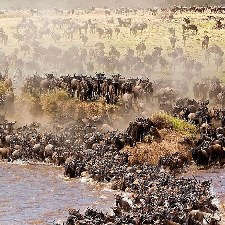 Edge Crest Tours