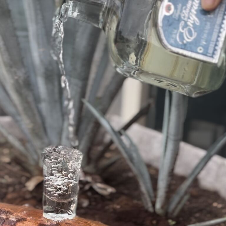 Tequilera Doña Engracia Mahahual