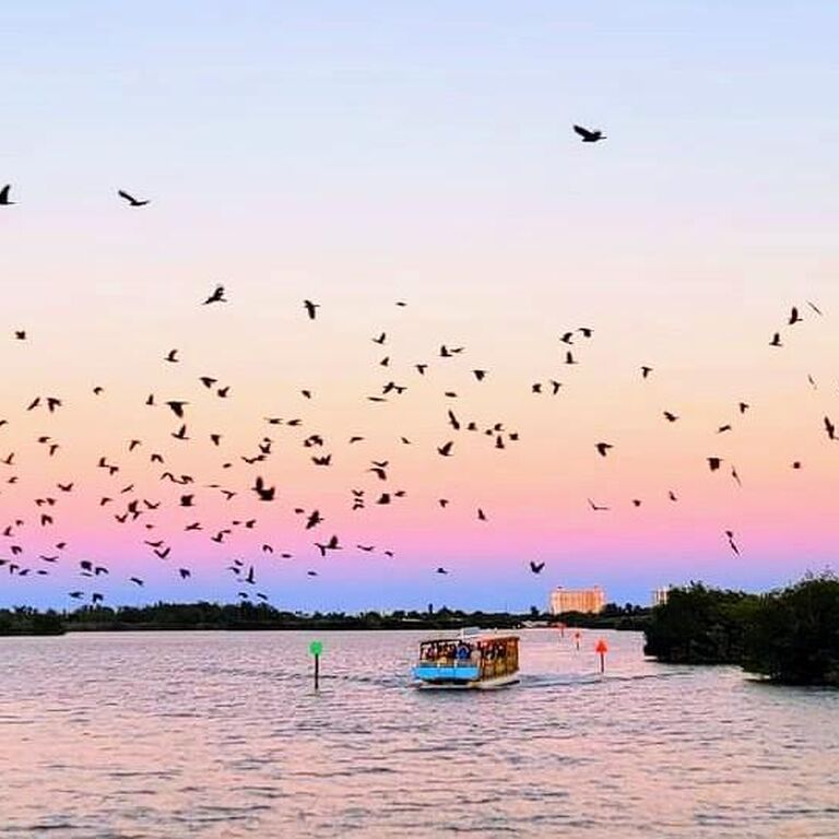Cocoa Beach Dolphin Tours