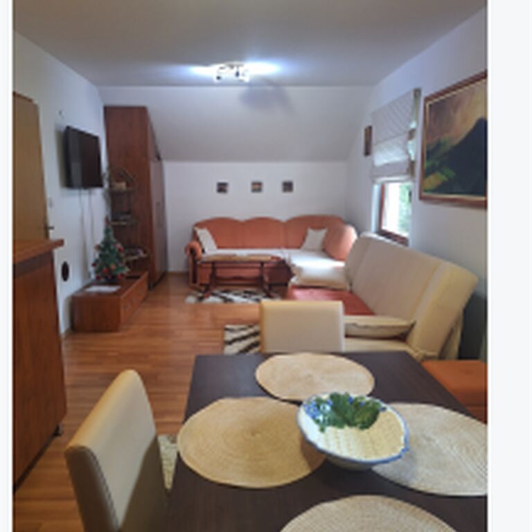 Apartman Sara Pale-Ski centar Ravna planina