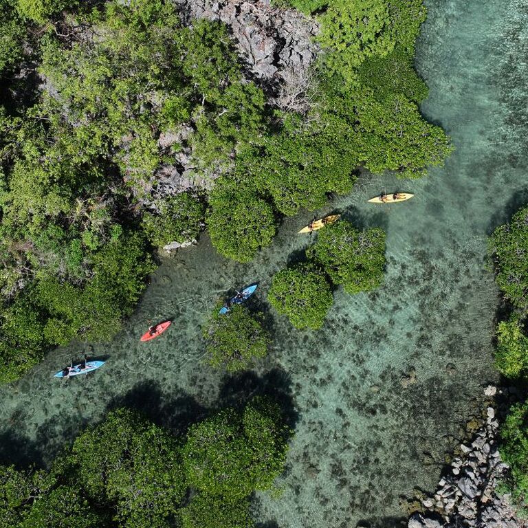 Calamianes Expeditions & Ecotours