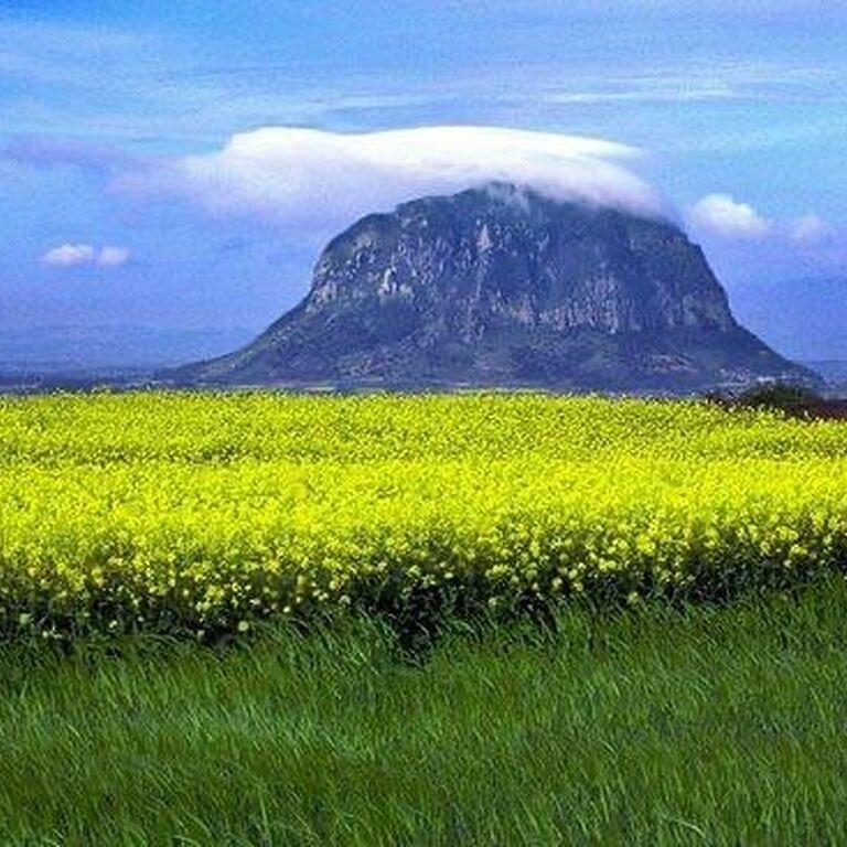 Samjin travel jeju tour