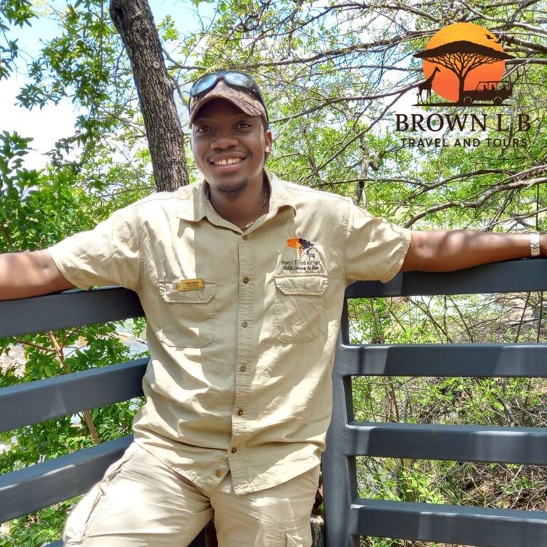 Brown L B Travel and Tours