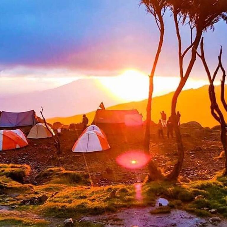 Bob Serengeti Expedition Tours Safaris