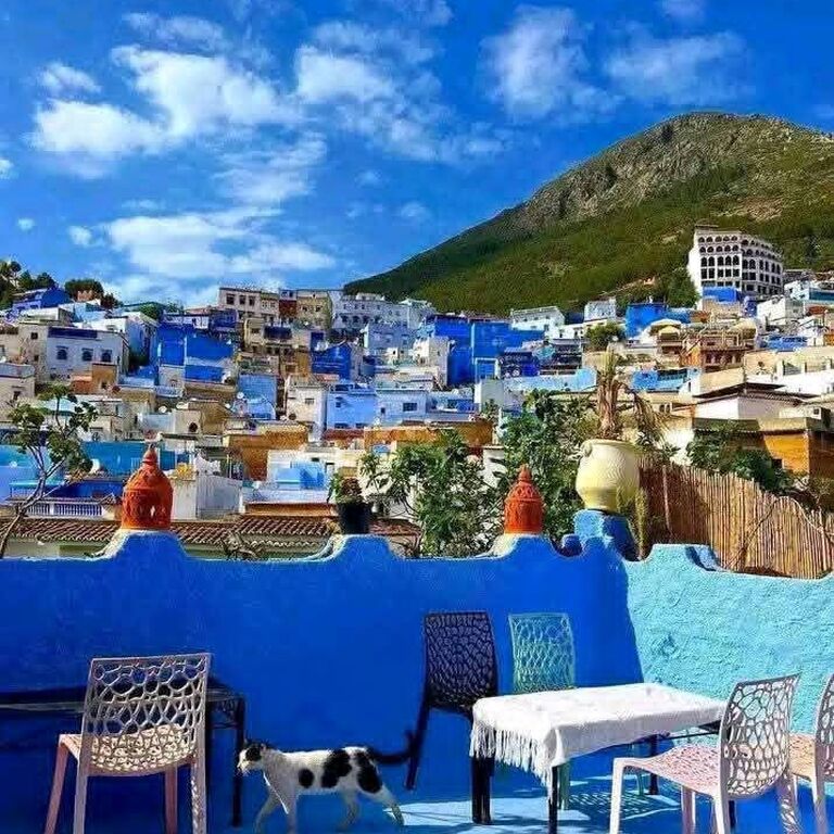 Fes to chefchaouen day trip