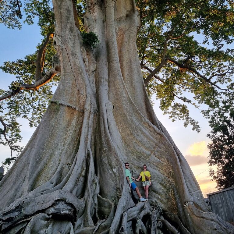 Explores Bali