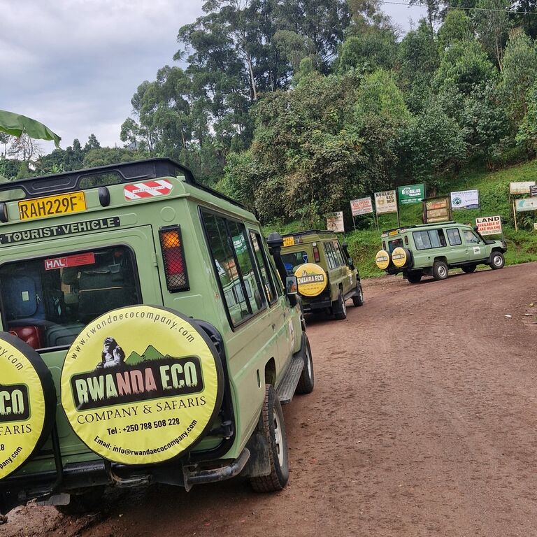 Rwanda Eco Company and Safaris