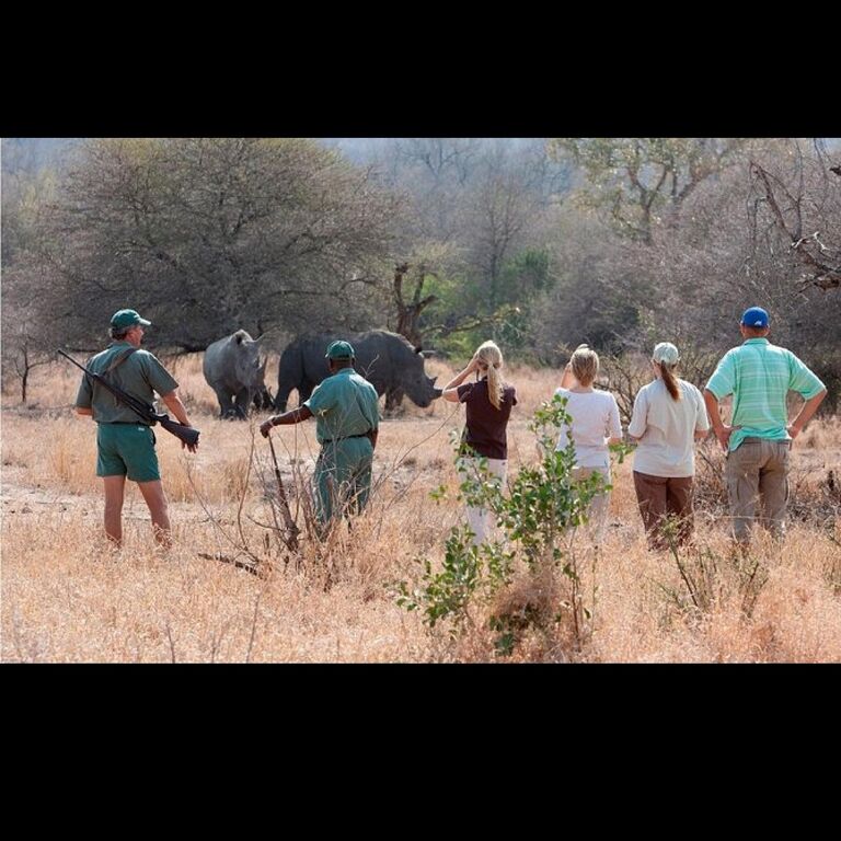 Akost Safaris