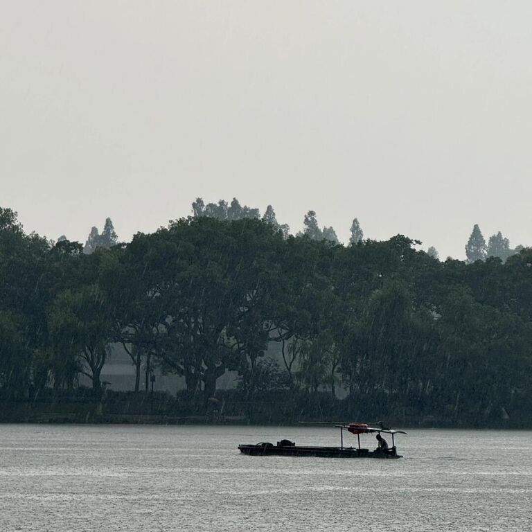 Authentic Hangzhou 1 Day Trip with a Local Guide