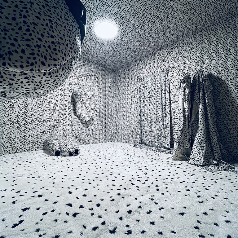 Home of the Dalmatian dog