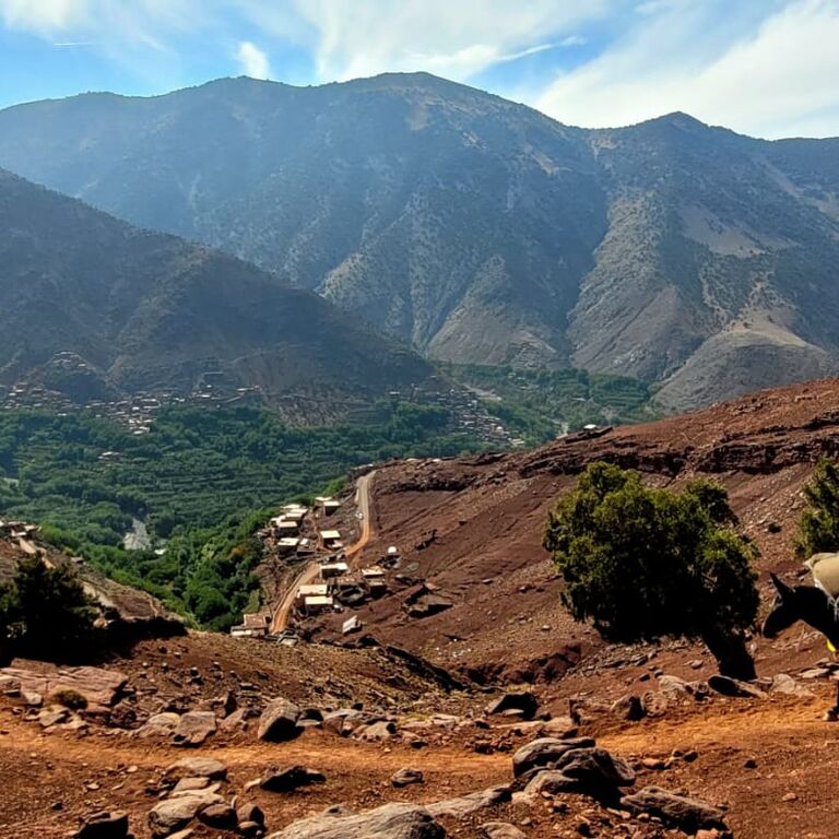 amazigh family riad