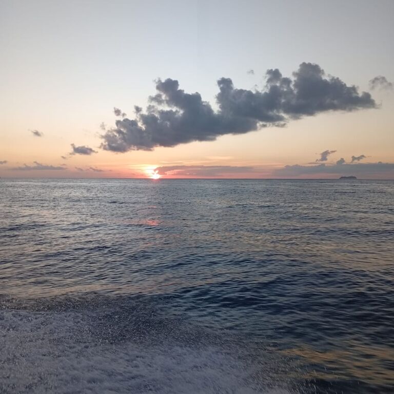 Konecta Cozumel Tours