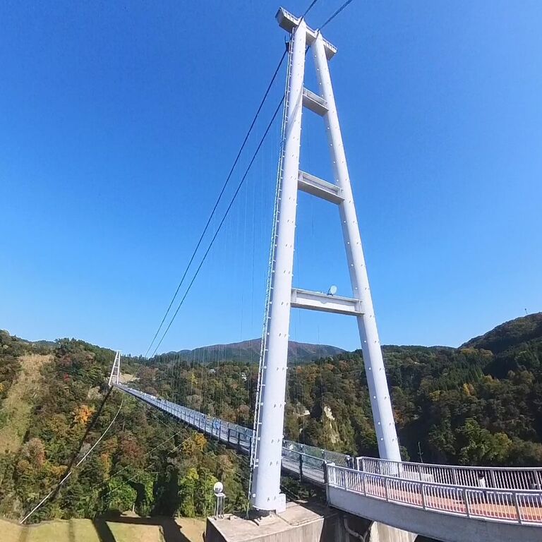 NAHO