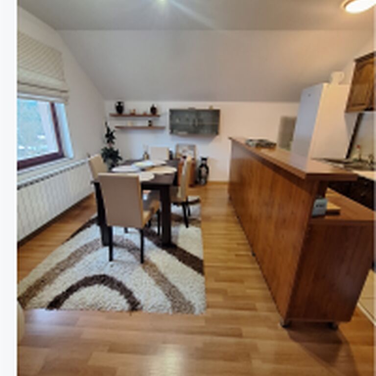 Apartman Sara Pale-Ski centar Ravna planina
