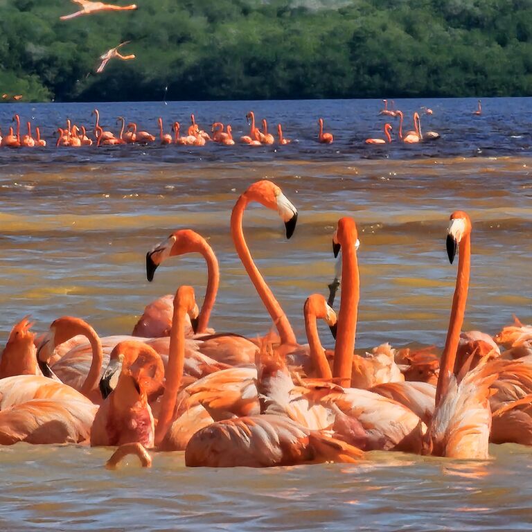 Guías de Yucatán