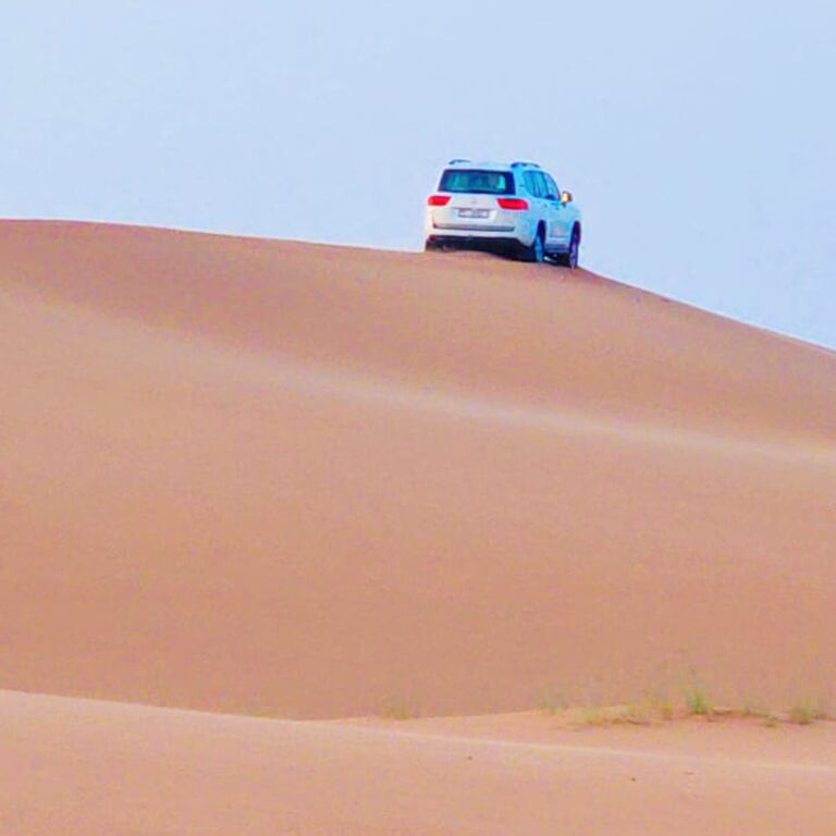 Golden Tours UAE llc