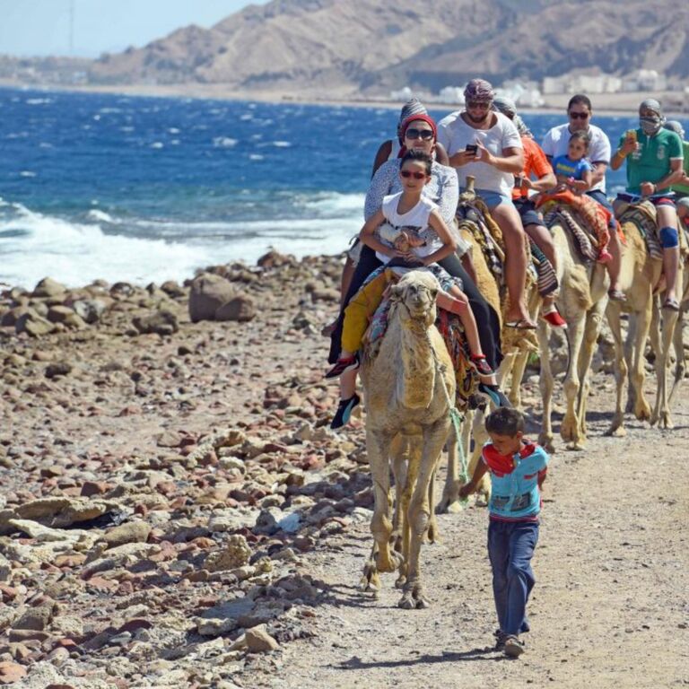 Stepway Tours