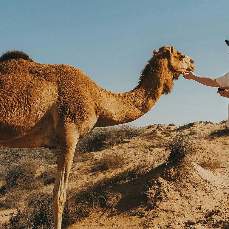 Agadir Travel Excursions