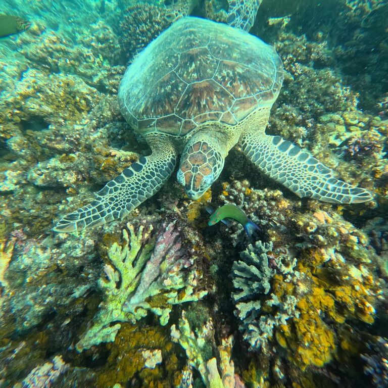 MUSCAT SEA ADVENTURE