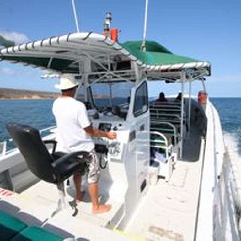 Diver Dans Specialty Charters  Inc., dba Kaanapali Ocean Adventures