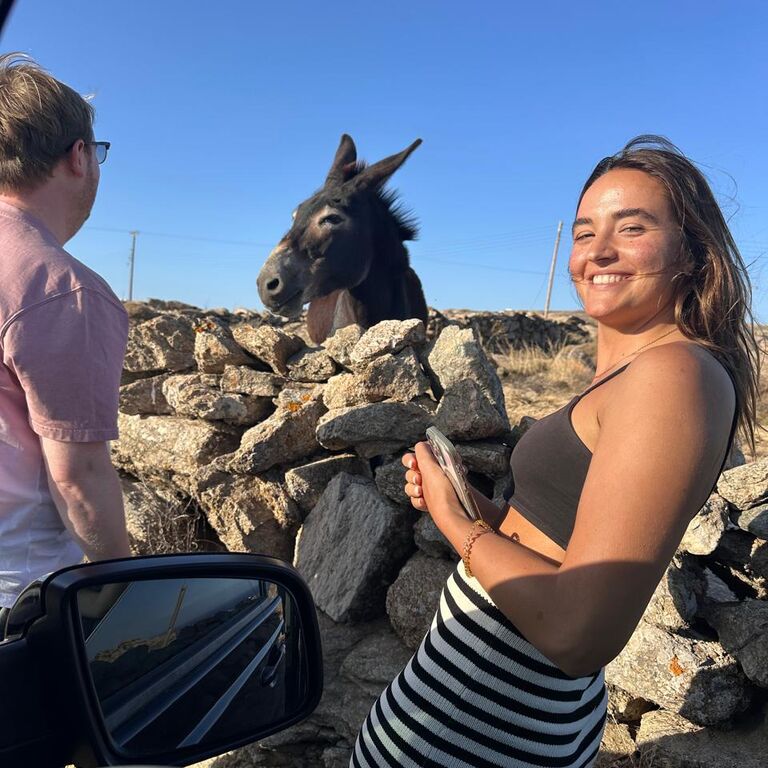 WCM MYKONOS TOURS