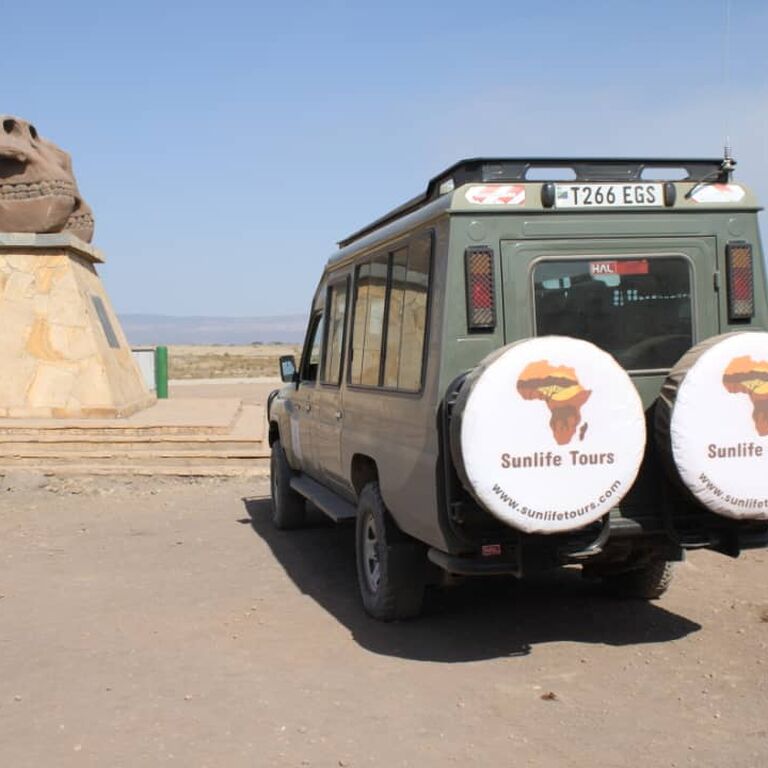 Sunlife Tours