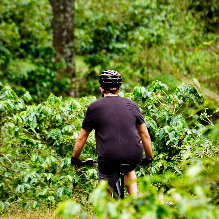 E-Valley Bikes Boquete