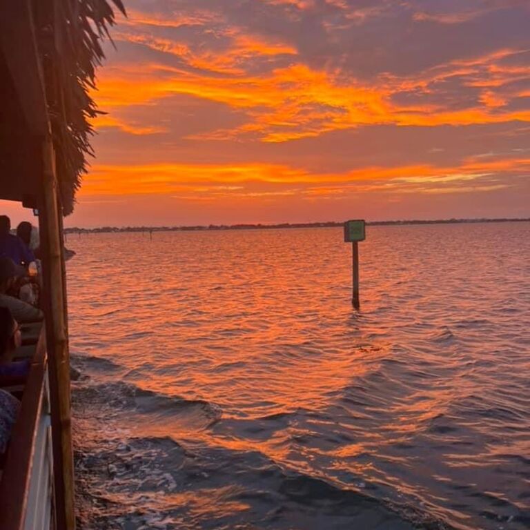 Cocoa Beach Dolphin Tours