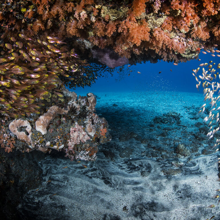 Dive Concepts Tulamben