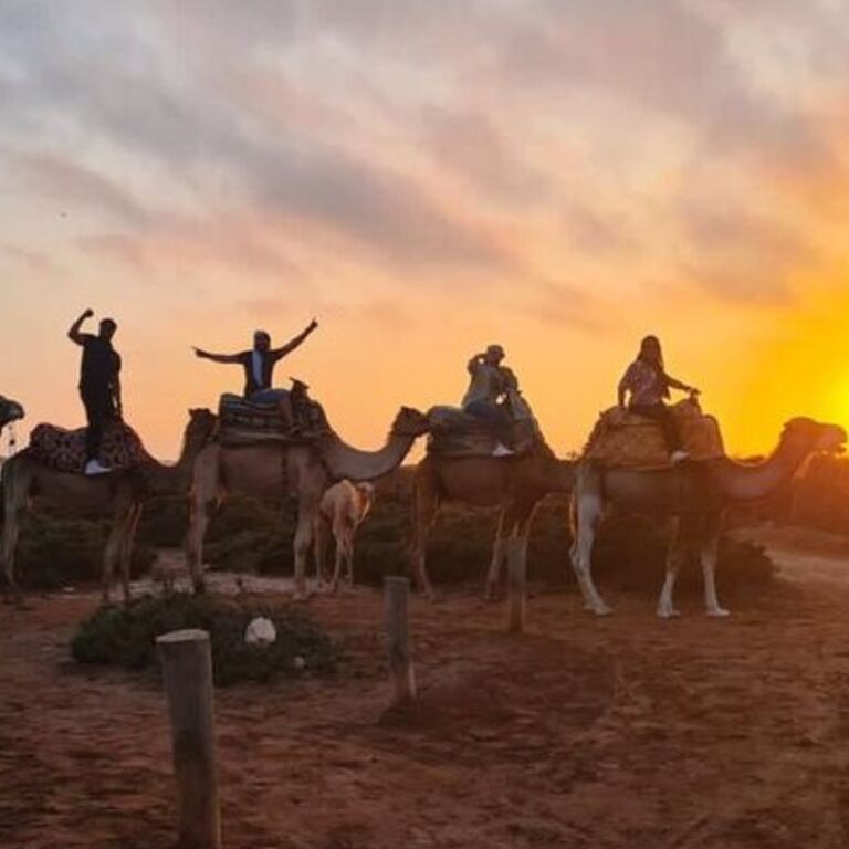 Sunset Camel Ride with BBQ and Couscouss Dinner
