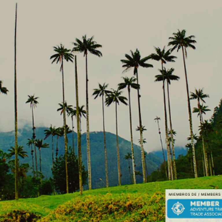 Chaska Tours Colombia
