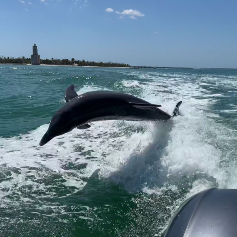 Coastal Friends Boat Tours
