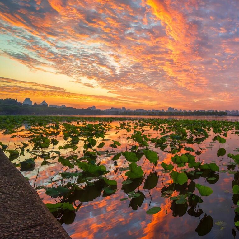 Authentic Hangzhou 1 Day Trip with a Local Guide