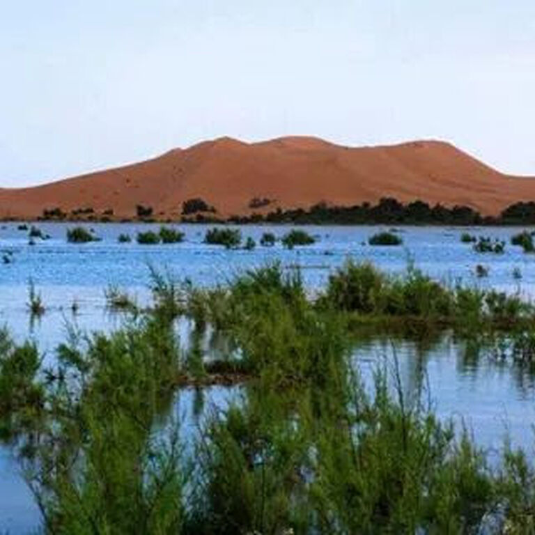 Merzouga Desert