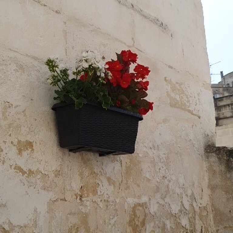 ristorante Bell'agio