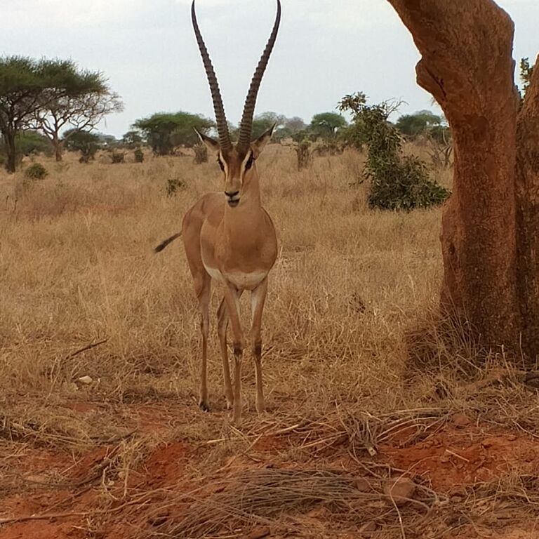 Nice man adventure tours and safaris