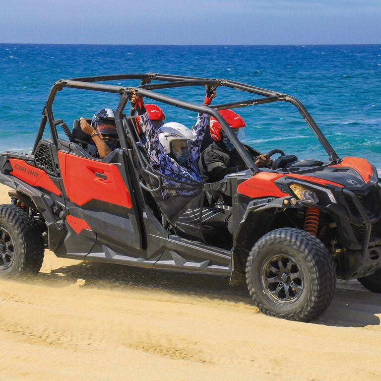 Cabo Day Trips