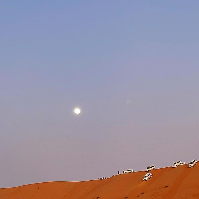 Desert safari