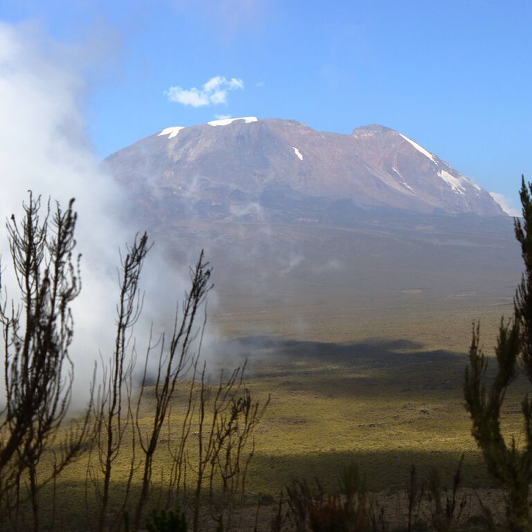 Kilimanjaro Winners And Safaris