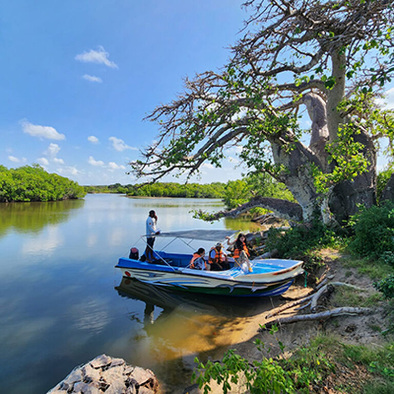 Boat Tours Sri Lanka